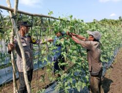 Polsek Sungai Sembilan Melakukan Pengecekan Pekarangan Pangan Bergizi Bersama Petani.