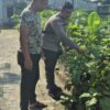 Polsek Sungai Sembilan Bersama Petani Laksanakan Pengecekan Perkarangan Pangan Bergizi.
