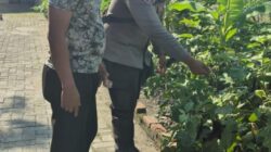 Polsek Sungai Sembilan Bersama Petani Laksanakan Pengecekan Perkarangan Pangan Bergizi.