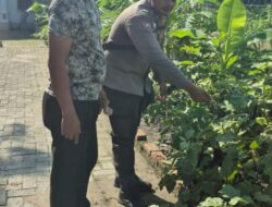 Polsek Sungai Sembilan Bersama Petani Laksanakan Pengecekan Perkarangan Pangan Bergizi.