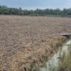 Bhabinkamtipmas Sungai Sembilan Bersama Poktan Bina Tani Mandiri Lakukan Kesiapan Lahan Penanaman Jagung Pipil.