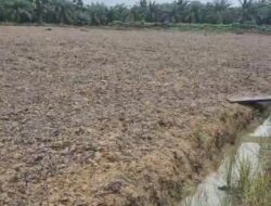 Bhabinkamtipmas Sungai Sembilan Bersama Poktan Bina Tani Mandiri Lakukan Kesiapan Lahan Penanaman Jagung Pipil.