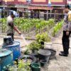 Bripka Rian Akbar Melaksanakan Kegiatan Pengecekan Tanaman Cabe Kecamatan Dumai Kota.