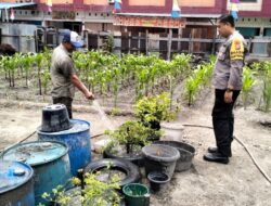 Bripka Rian Akbar Melaksanakan Kegiatan Pengecekan Tanaman Cabe Kecamatan Dumai Kota.