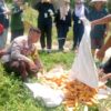 Polsek Sungai Sembilan Laksanakan Panen Jagung Pipil di Lahan Poktan mekar Sekuntum .