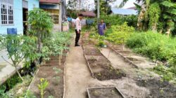 Bripka Bob Sinaga Melaksanakan Kegiatan Pengecekan Ketahanan Pangan Dengan Memantau Penanaman Cabe.