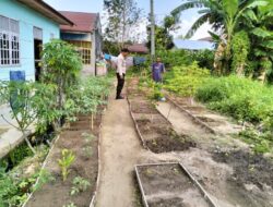 Bripka Bob Sinaga Melaksanakan Kegiatan Pengecekan Ketahanan Pangan Dengan Memantau Penanaman Cabe.