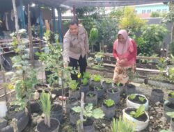 Bhabinkamtibmas Kelurahan Dumai Kota Bripka F.S.Tambunan Cek Program Ketahanan Pangan Bergizi Selada .