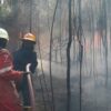Benarkah tepung singkong bisa memadamkan api? Ini faktanya