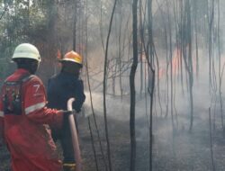 Benarkah tepung singkong bisa memadamkan api? Ini faktanya