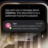 iOS 27 kapan rilis? Ini daftar iPhone yang kebagian dan fitur barunya
