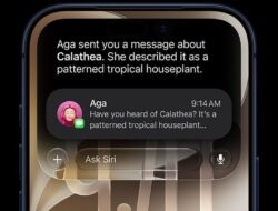 iOS 27 kapan rilis? Ini daftar iPhone yang kebagian dan fitur barunya