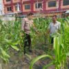 Bripka Rian Akbar Kelurahan Rimba Sekampung Melaksanakan Kegiatan Pengecekan Ketahanan Pangan.