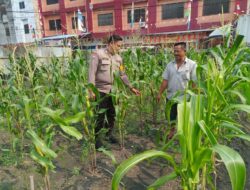 Bripka Rian Akbar Kelurahan Rimba Sekampung Melaksanakan Kegiatan Pengecekan Ketahanan Pangan.