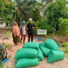 Apical Dukung Produktivitas Peternak Binaan di Dumai melalui Pemanfaatan Bungkil Inti Sawit.