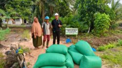 Apical Dukung Produktivitas Peternak Binaan di Dumai melalui Pemanfaatan Bungkil Inti Sawit.