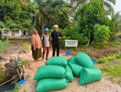 Apical Dukung Produktivitas Peternak Binaan di Dumai melalui Pemanfaatan Bungkil Inti Sawit.