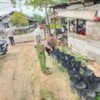 Bripka Rian Akbar Kelurahan Rimba Sekampung Melaksanakan Kegiatan Pengecekan Ketahanan Tanaman Cabe