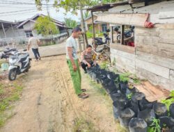 Bripka Rian Akbar Kelurahan Rimba Sekampung Melaksanakan Kegiatan Pengecekan Ketahanan Tanaman Cabe