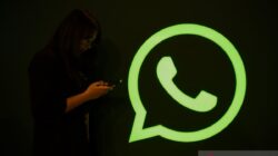 Harga WhatsApp Business naik 1 Oktober, ini faktanya