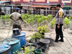 Bripka Rian Akbar Melaksanakan Kegiatan Pengecekan Ketahanan Pangan Cabe.