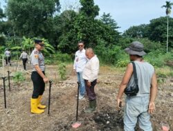 Kapolsek Kawasan Pelabuhan Dumai Laksanakan Kegiatan Penanaman Jagung Pipil  Kuartal IV Tahun 2026.