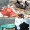 23 Tahun Mengabdi, P. Angkasa Kini Mencari Rongsokan Demi Menyambung Hidup Keluarga – BeritaNasional.ID