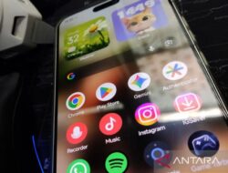 File Anda tidak sengaja terhapus di HP? Begini cara kembalikannya