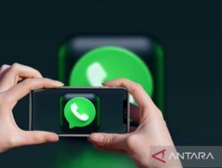 WhatsApp hentikan dukungan Android 5.0 dan 5.1, ini ponsel terdampak